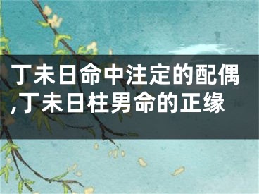 丁未日命中注定的配偶,丁未日柱男命的正缘