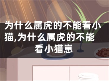 为什么属虎的不能看小猫,为什么属虎的不能看小猫崽