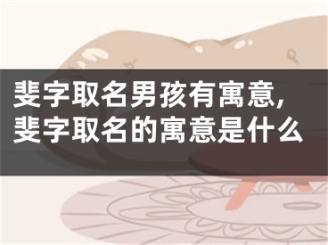 斐字取名男孩有寓意,斐字取名的寓意是什么