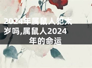 2024年属鼠人犯太岁吗,属鼠人2024年的命运