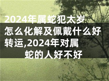 2024年属蛇犯太岁怎么化解及佩戴什么好转运,2024年对属蛇的人好不好