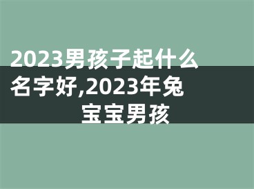 2023男孩子起什么名字好,2023年兔宝宝男孩