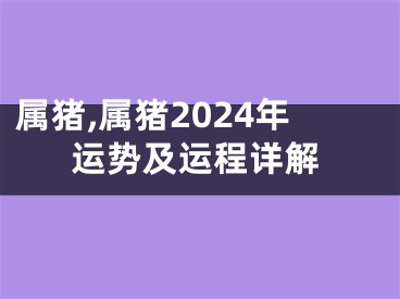 属猪,属猪2024年运势及运程详解