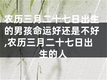 农历三月二十七日出生的男孩命运好还是不好,农历三月二十七日出生的人