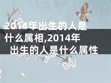 2014年出生的人是什么属相,2014年出生的人是什么属性