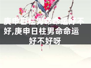 庚申日柱男命命运好不好,庚申日柱男命命运好不好呀