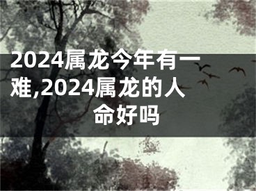 2024属龙今年有一难,2024属龙的人命好吗