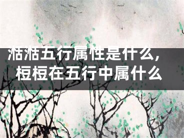 湉湉五行属性是什么,梪梪在五行中属什么