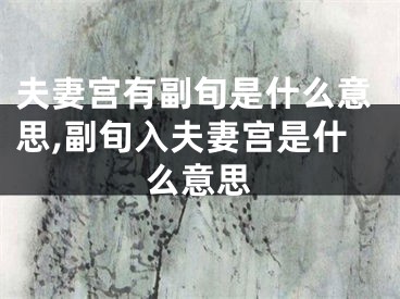 夫妻宫有副旬是什么意思,副旬入夫妻宫是什么意思