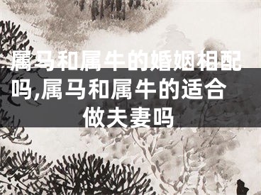 属马和属牛的婚姻相配吗,属马和属牛的适合做夫妻吗