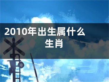 2010年出生属什么生肖