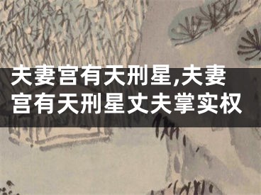 夫妻宫有天刑星,夫妻宫有天刑星丈夫掌实权