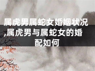 属虎男属蛇女婚姻状况,属虎男与属蛇女的婚配如何