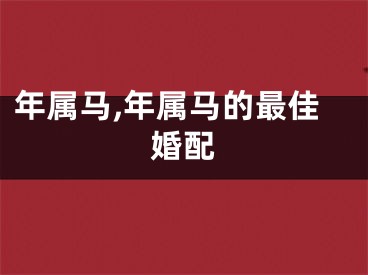 年属马,年属马的最佳婚配