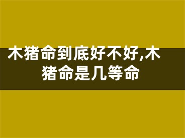 木猪命到底好不好,木猪命是几等命