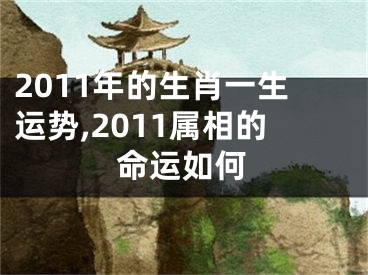 2011年的生肖一生运势,2011属相的命运如何