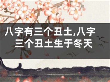八字有三个丑土,八字三个丑土生于冬天