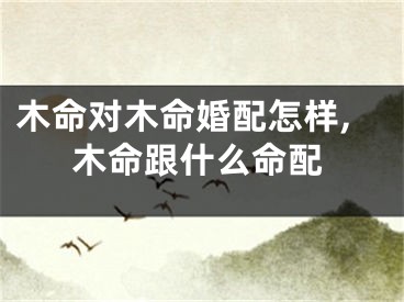 木命对木命婚配怎样,木命跟什么命配