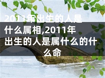 2011年出生的人是什么属相,2011年出生的人是属什么的什么命