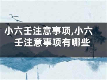 小六壬注意事项,小六壬注意事项有哪些