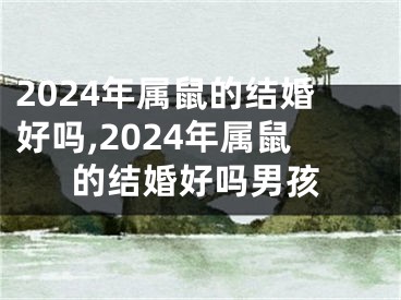 2024年属鼠的结婚好吗,2024年属鼠的结婚好吗男孩