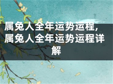 属兔人全年运势运程,属兔人全年运势运程详解