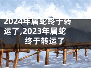 2024年属蛇终于转运了,2023年属蛇终于转运了