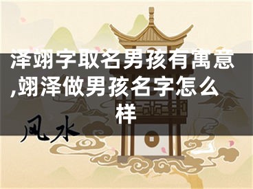 泽翊字取名男孩有寓意,翊泽做男孩名字怎么样