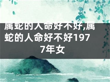 属蛇的人命好不好,属蛇的人命好不好1977年女