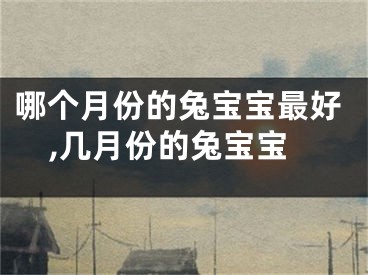 哪个月份的兔宝宝最好,几月份的兔宝宝