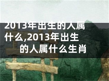 2013年出生的人属什么,2013年出生的人属什么生肖