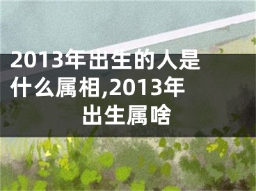 2013年出生的人是什么属相,2013年出生属啥