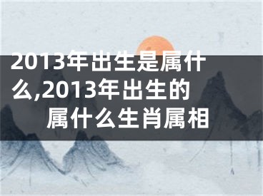 2013年出生是属什么,2013年出生的属什么生肖属相