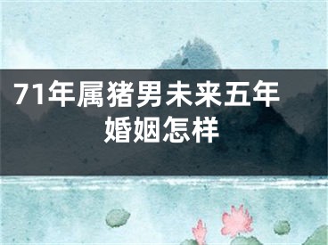 71年属猪男未来五年婚姻怎样