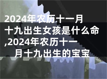 2024年农历十一月十九出生女孩是什么命,2024年农历十一月十九出生的宝宝