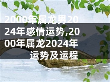 2000年属龙男2024年感情运势,2000年属龙2024年运势及运程