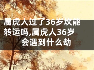 属虎人过了36岁坎能转运吗,属虎人36岁会遇到什么劫