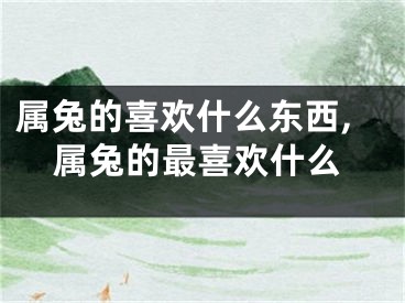 属兔的喜欢什么东西,属兔的最喜欢什么