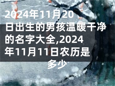 2024年11月20日出生的男孩温暖干净的名字大全,2024年11月11日农历是多少