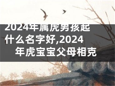 2024年属虎男孩起什么名字好,2024年虎宝宝父母相克