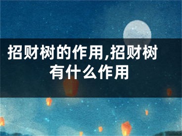 招财树的作用,招财树有什么作用