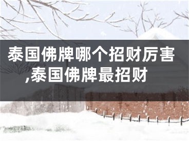 泰国佛牌哪个招财厉害,泰国佛牌最招财
