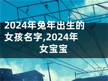 2024年兔年出生的女孩名字,2024年女宝宝