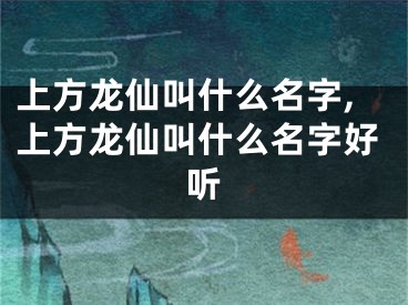 上方龙仙叫什么名字,上方龙仙叫什么名字好听