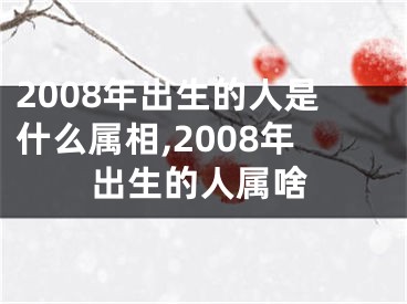 2008年出生的人是什么属相,2008年出生的人属啥