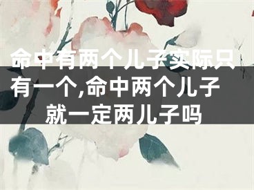 命中有两个儿子实际只有一个,命中两个儿子就一定两儿子吗