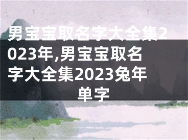 男宝宝取名字大全集2023年,男宝宝取名字大全集2023兔年单字