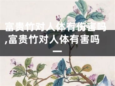 富贵竹对人体有伤害吗,富贵竹对人体有害吗一