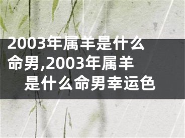2003年属羊是什么命男,2003年属羊是什么命男幸运色