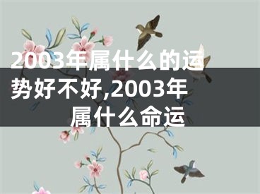2003年属什么的运势好不好,2003年属什么命运